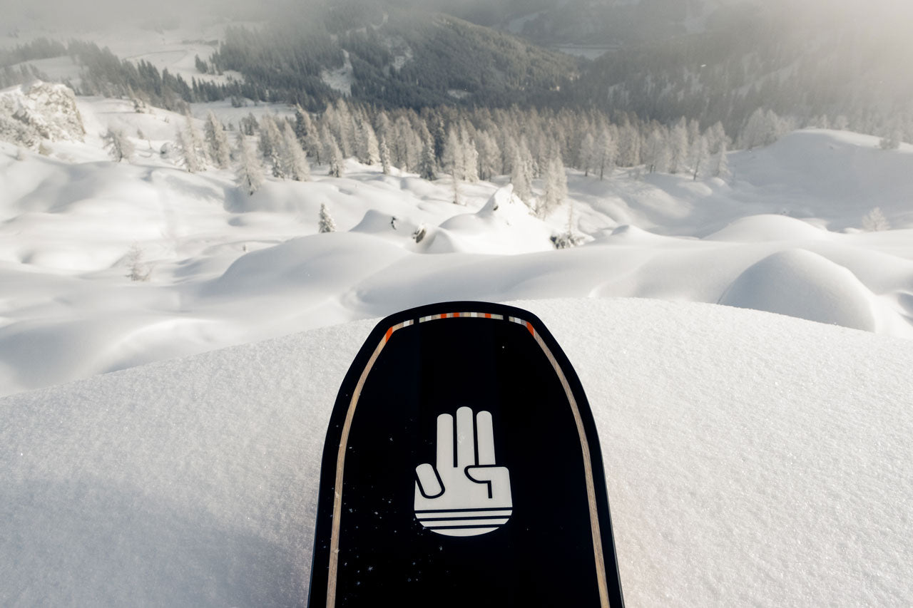Surfer Ltd