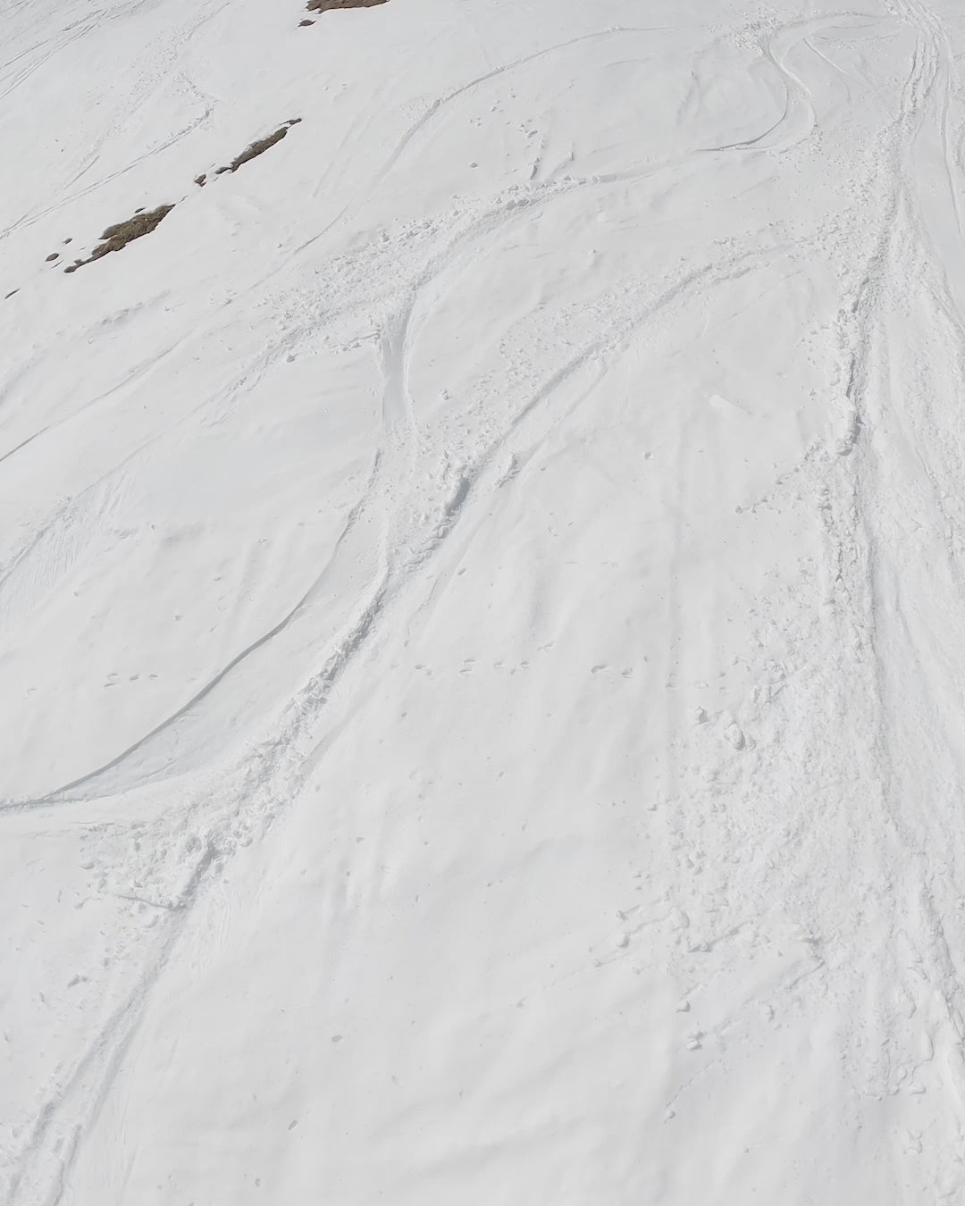 Stuntwood 2025 | Bataleon Snowboards™ – Bataleon EU